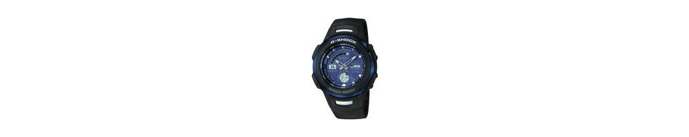 GW-1310J-2A ROK 2004