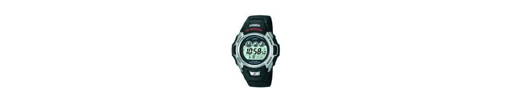 GW-500E-1V ROK 2004