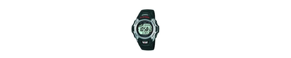 GW-510A-1V ROK 2003