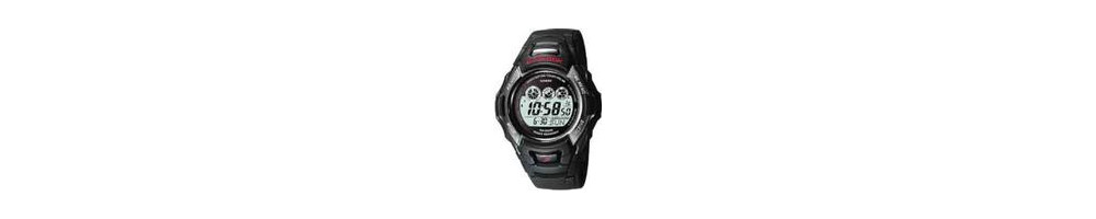 GW-530A-1V ROK 2004