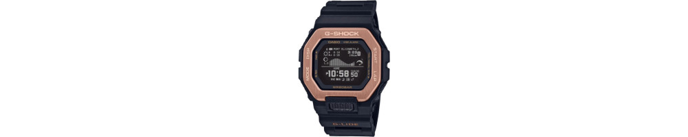 GBX-100NS-4  ROK 2021