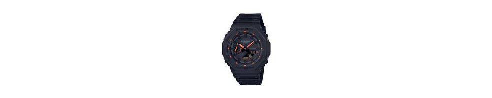 GA-2100-1A4 ROK 2022