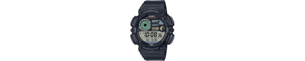 WS-1500H-1AV ROK 2022