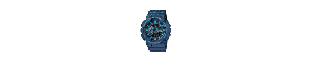 GA-110TX-2A ROK 2016