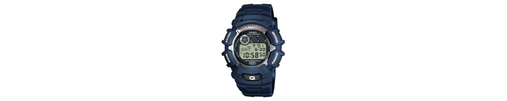 G-2110-2V ROK 2001
