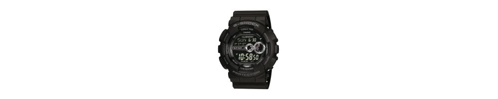 GD-100-1B ROK 2010