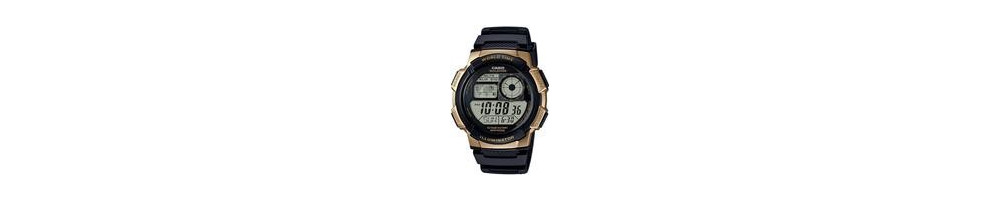 AE-1000W-1A3V ROK 2016