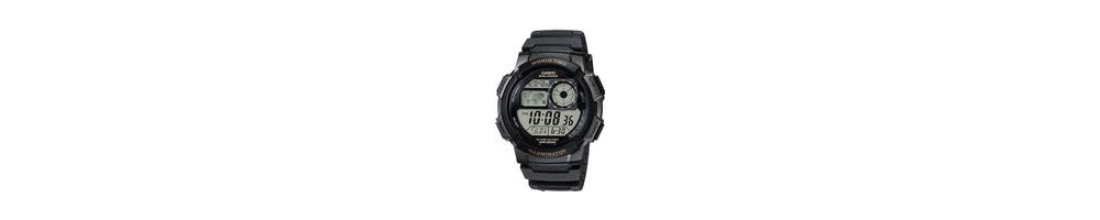 AE-1000W-1AV ROK 2010