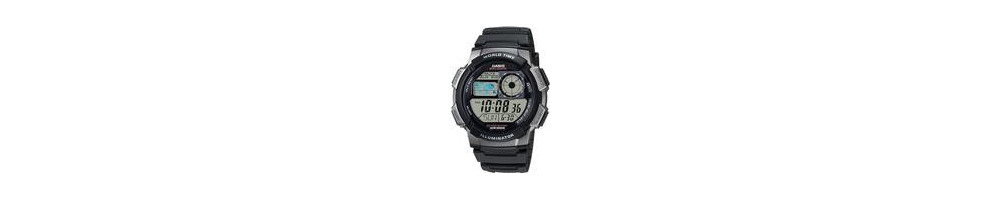 AE-1000W-1BV ROK 2010
