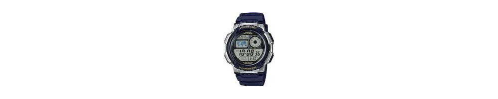 AE-1000W-2AV ROK 2016