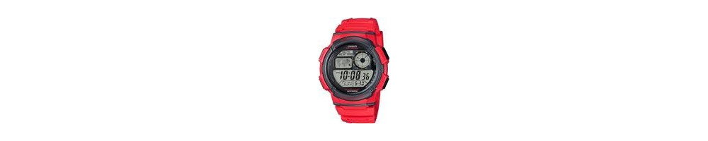 AE-1000W-4AV ROK 2016