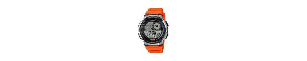 AE-1000W-4BV ROK 2016
