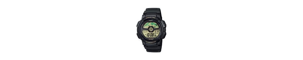 AE-1100W-1BV ROK 2011