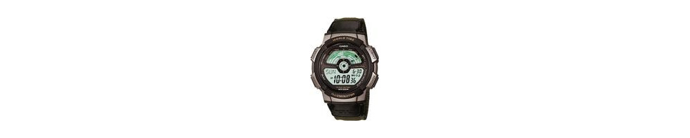AE-1100WB-3AV 2011