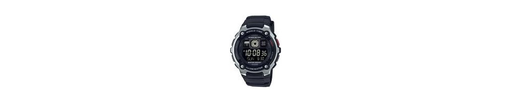 AE-2000W-1BV ROK 2017