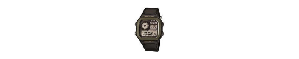 AE-1200WHB-1BV ROK 2013