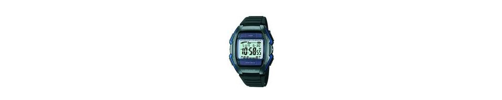 WL-500-2AV ROK 2003