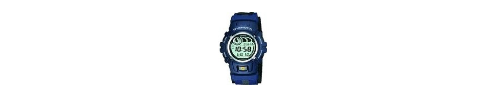 G-2900V-2V ROK 2003