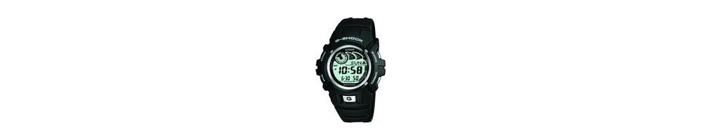 G-2900BT-12V ROK 2003