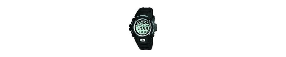 G-2900BT-1V ROK 2003