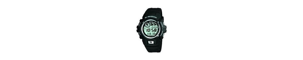 G-2900BT-8V ROK 2003