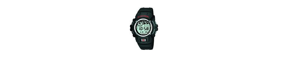 G-2900F-1V ROK 2002