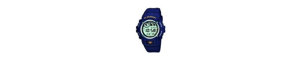 G-2900F-2V ROK 2002