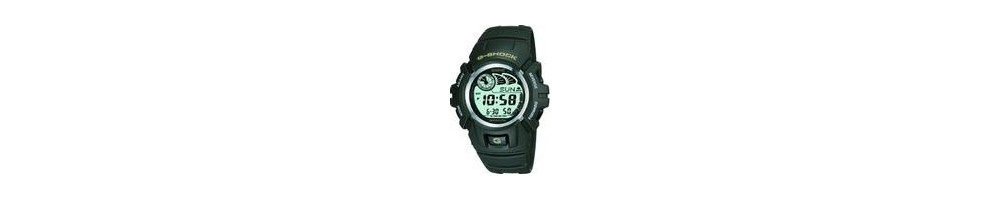 G-2900F-3V ROK 2002