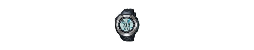 PAW-1200-1V ROK 2006