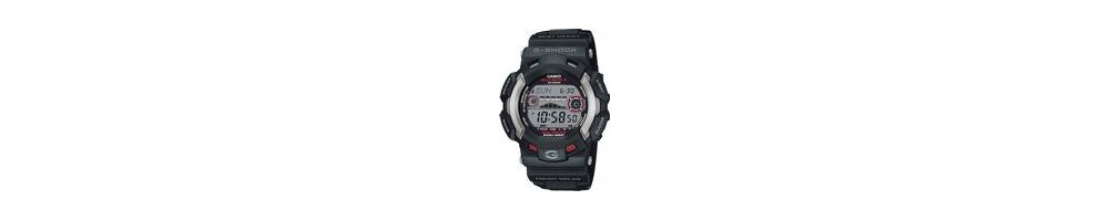GW-9110-1 ROK 2010