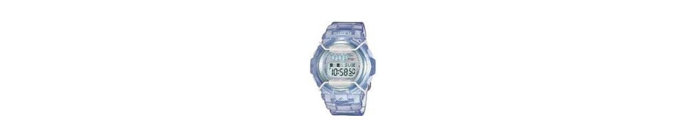 BG-1001-2BV ROK 2006 