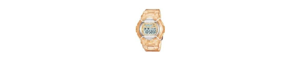 BG-1001-4BV ROK 2006 