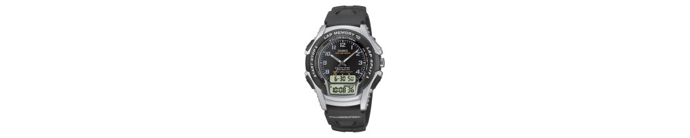 WS-300-1B
