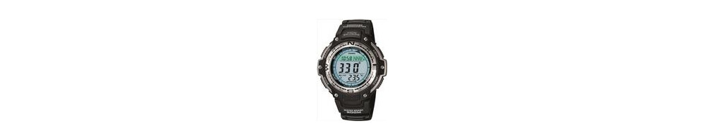 SGW-100-1V ROK 2008