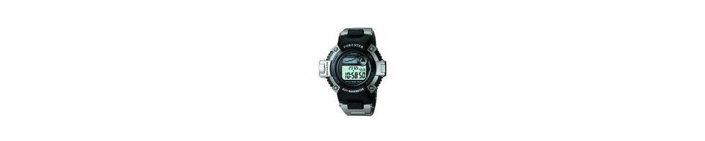 FTS-100D-1 ROK 2000