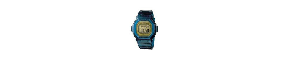 BG-5600G-2 ROK 2006 