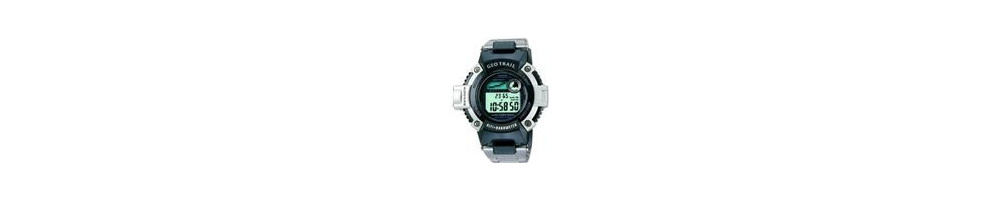 FTS-101D-1V ROK 2001 