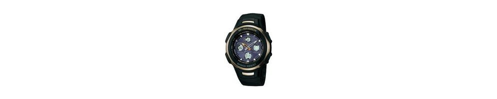 GW-1300A-9AV ROK 2004 