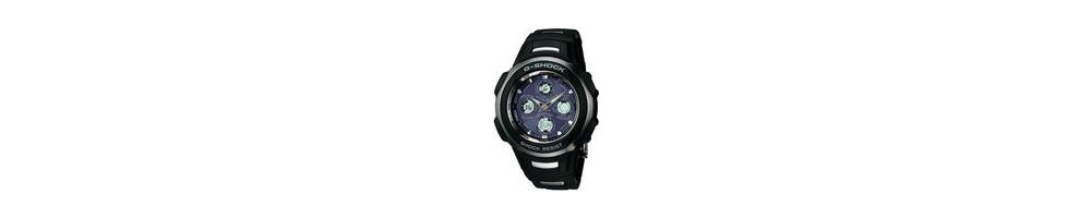 GW-1300CE-1AV ROK 2005 
