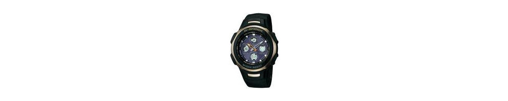 GW-1300E-9AV ROK 2004 