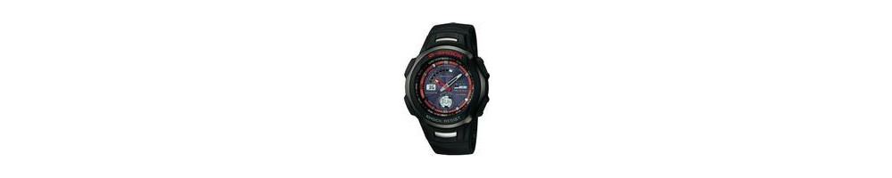 GW-1310A-4AV ROK 2004