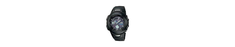 GW-1310BCJ-1A ROK 2004