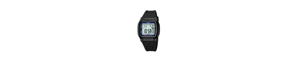 W-201-2AV ROK 2004 