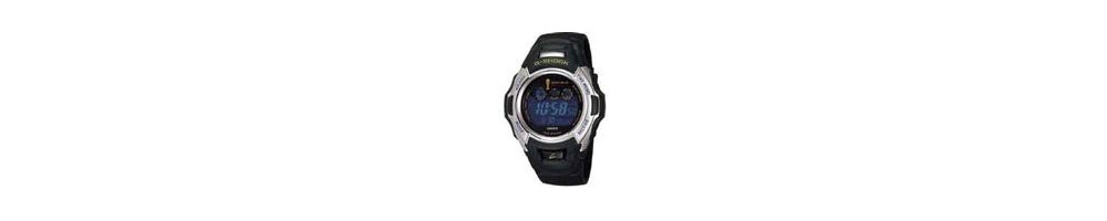 GW-500WCE-1V ROK 2006