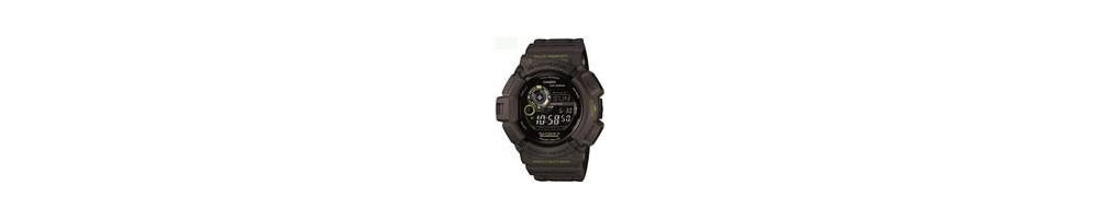 GW-9300GY-1 ROK 2011