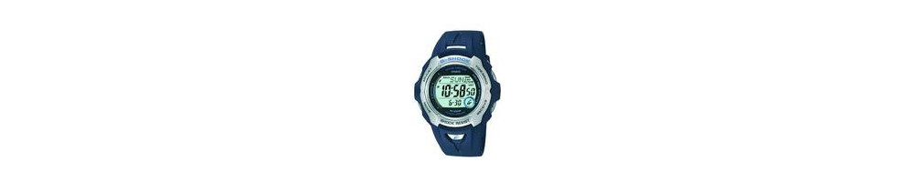 GW-700E-2V ROK 2004