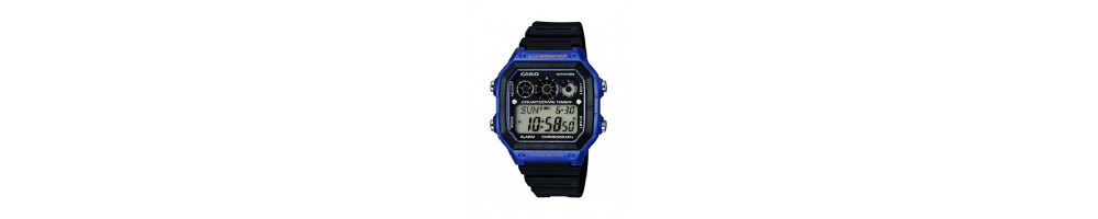 AE-1300WH-2AV ROK 2014
