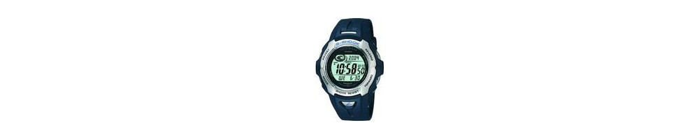 GW-701-2V ROK 2004