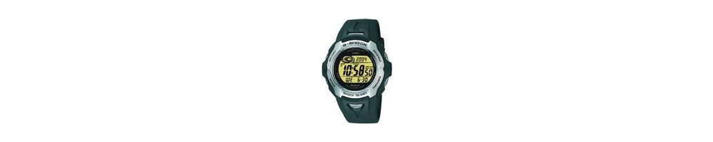 GW-701-9V ROK 2001