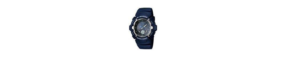 GW-1501-2AV ROK 2004